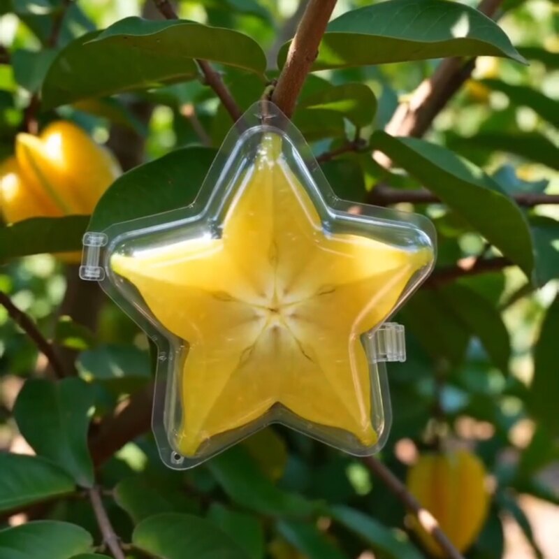 When You Take Starfruit Too Literally.